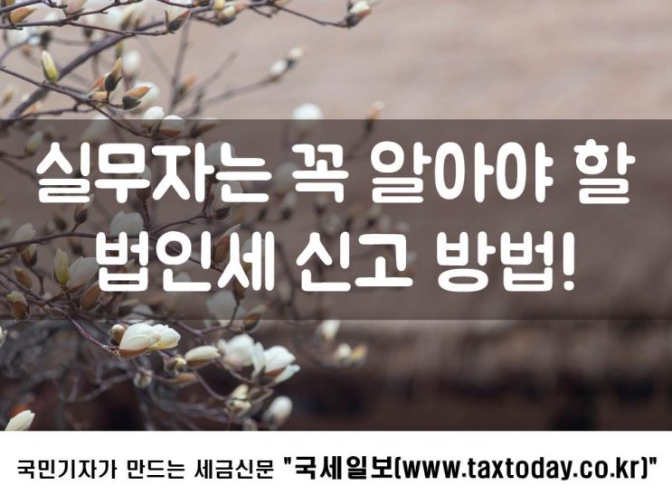  실무자는 꼭 알아야 할 법인세 신고 방법!