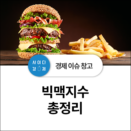  한국 물가 수준과 세계 물가 순위를 맥도날드 빅맥 가격으로 파악한다? 빅맥지수 총정리!