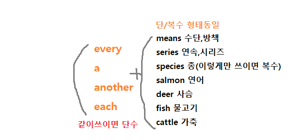  [영어] 명사(가산명사단수,가산명사복수,불가산명사,불가산명사 단위표현,정관사,부정관사)