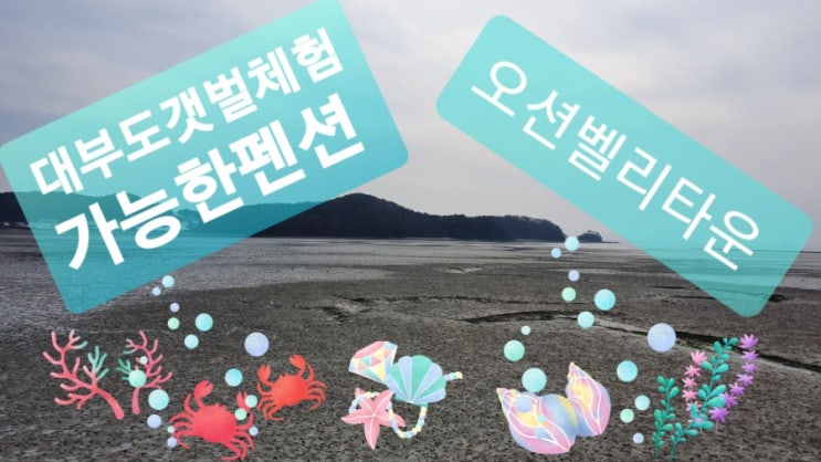  대부도갯벌체험가능한펜션 오션벨리타운의 바닷가펜션입니다 해다온펜션으로 고고  독채펜션으로 최고의 해돋이펜션,해넘이펜션으로최고입니다