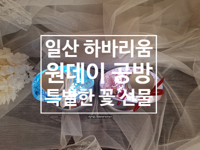  일산 하바리움 만들기 원데이 공방 특별한 꽃선물 추천
