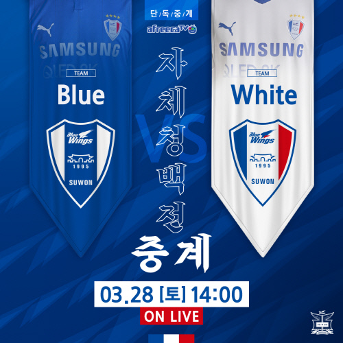 축구(K리그) 자체 연습경기 온라인 생중계 축구(K리그) 자체 연습경기 온라인 생중계