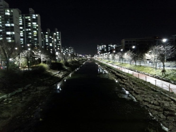  200322 인천 계양구 서부간선천(서부천, 서부간선수로, 서운체육공원, 계양경기장 옆) 벚꽃길