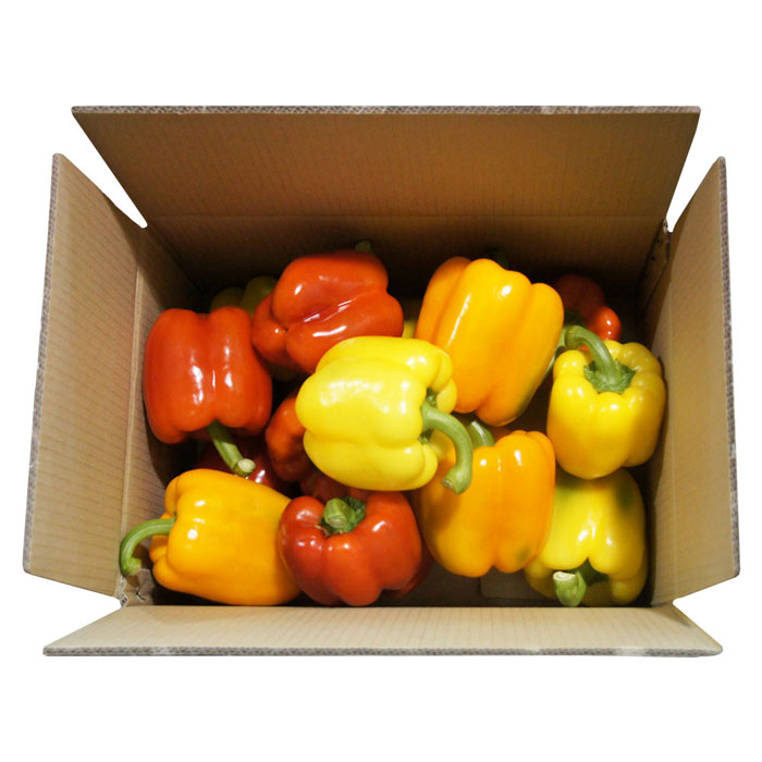 (부공) 당일수확 농장직송 가정용파프리카 3kg, 1box, 3kg(빨강+노랑) 추천해요