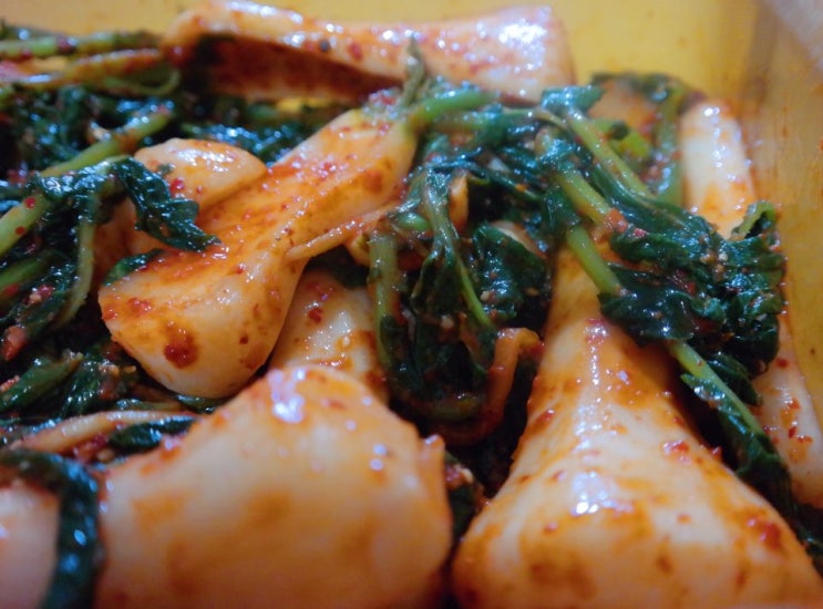 전라도김치쇼핑몰 빛고을김치 총각김치 짱 맛있어ㅠㅠ 전라도김치쇼핑몰 빛고을김치 총각김치 짱 맛있어ㅠㅠ