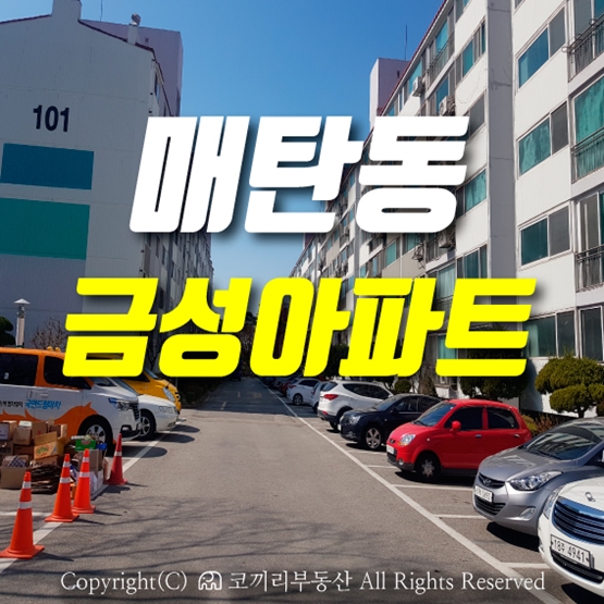  매탄동 금성아파트 단지 보기