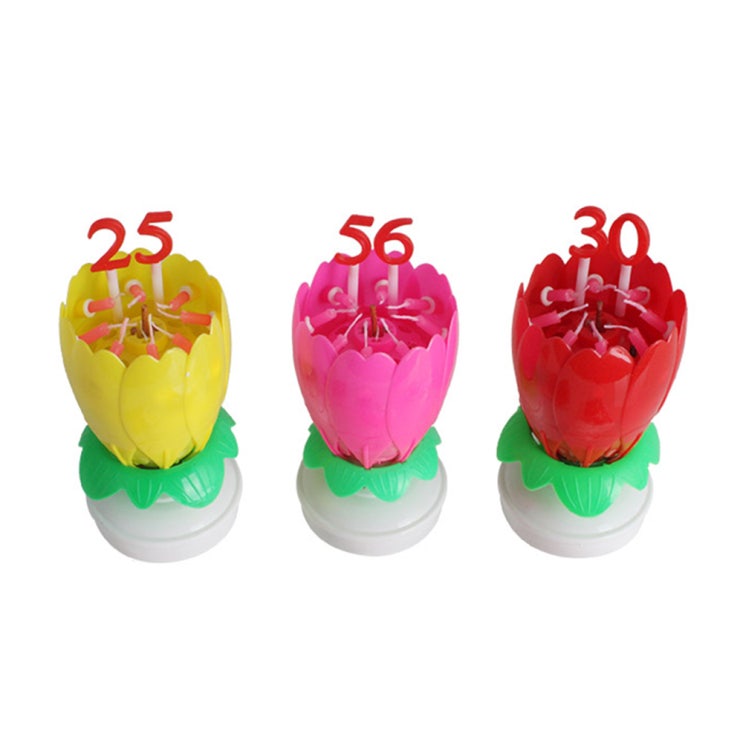 (로켓배송)파티라이프 파티 용품 숫자 연꽃초 + 숫자세트 2p, 혼합 색상, 3세트 가격정보 (로켓배송)파티라이프 파티 용품 숫자 연꽃초 + 숫자세트 2p, 혼합 색상, 3세트 가격정보