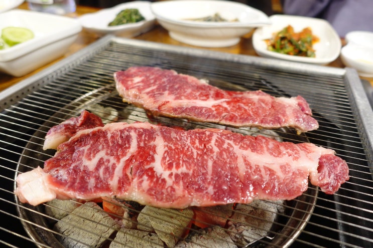  병점 맛집 봉담 맛집 / 산내들가든 :: 최고 품질의 국내산 생고기 맛집