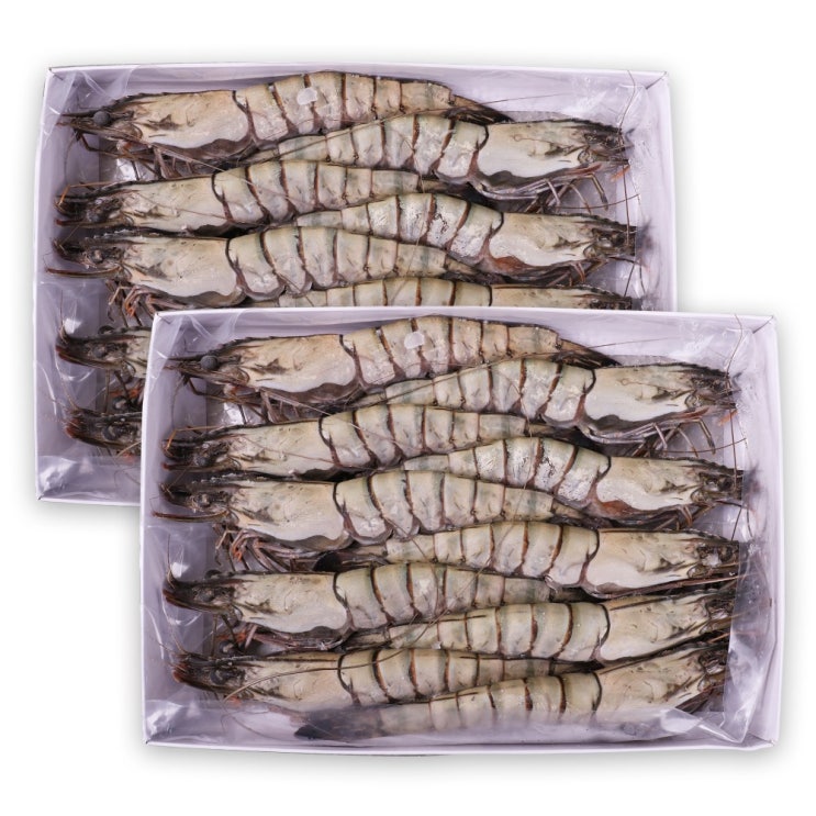 바른씨 블랙타이거새우 10마리 500g 1+1 대하, 2개 추천해요 바른씨 블랙타이거새우 10마리 500g 1+1 대하, 2개 추천해요