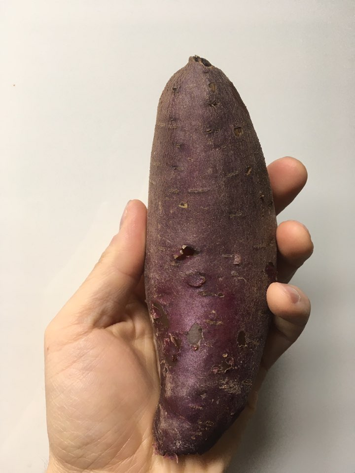  꿀고구마