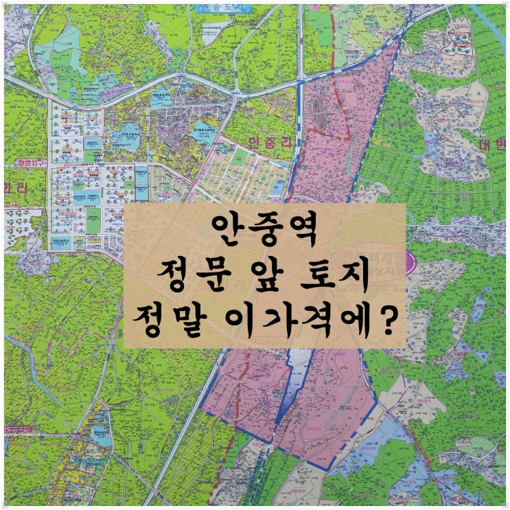  <평택 안중역세권 투자>평택 안중역 정문 앞 토지. 정말 이 가격에?
