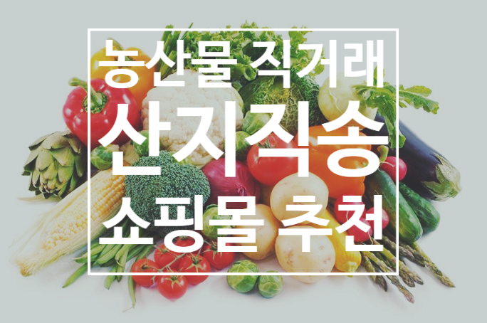  농산물 직거래 쇼핑몰 추천(산지직송, 신선한 농산물)