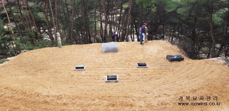  2020년 윤달 분묘이장, 묘지개장전문업체 - 경북묘지관리 대구, 경북(안동,영주,봉화,예천,문경,점촌,역덕,울진,의성 등