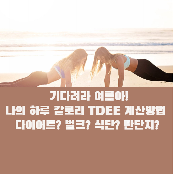  다이어트 하루 식단 칼로리 계산하는법 TDEE,탄단지계산방법과 식단 메뉴 추천까지!