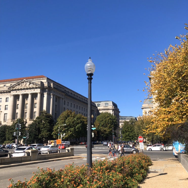 [나홀로 미국여행] 미국의 수도, 계획도시 워싱턴(Washington D.C.)