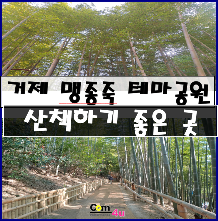  경남 거제 맥종죽 테마파크 (산책하기 좋은 곳)