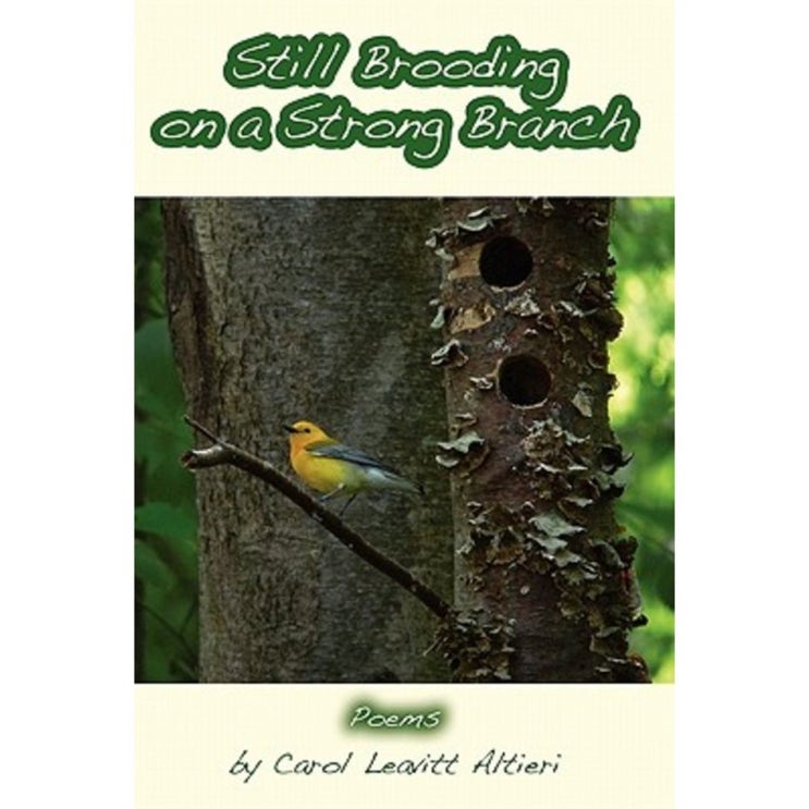 인싸템 Still Brooding on a Strong Branch: Poems by Carol Leavitt Altieri Paperback   16,220원  