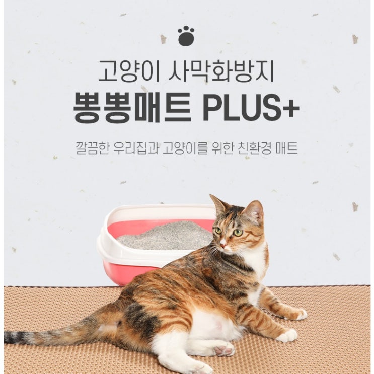 고양이 매트 고양이 사막화 방지 매트컬러: 블랙, 베이지, 민트 | 사이즈: 대형, 특대형