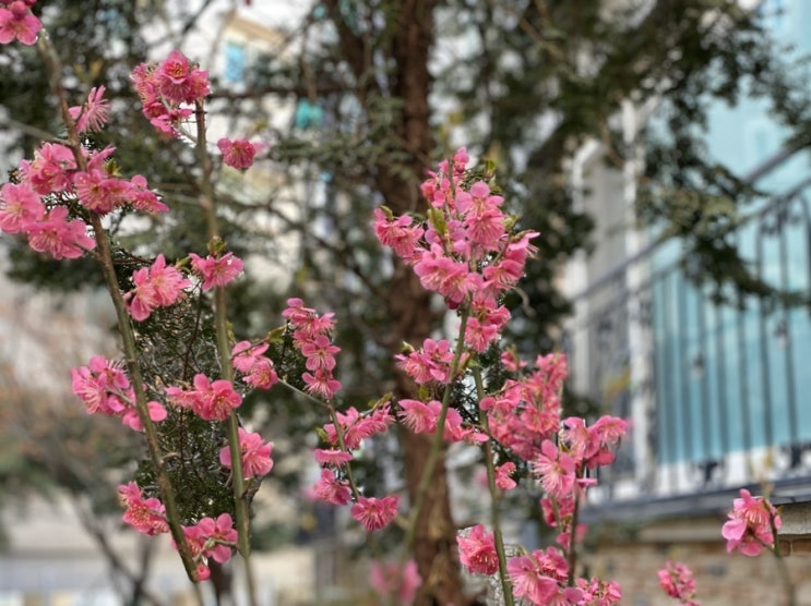  확실한 행복