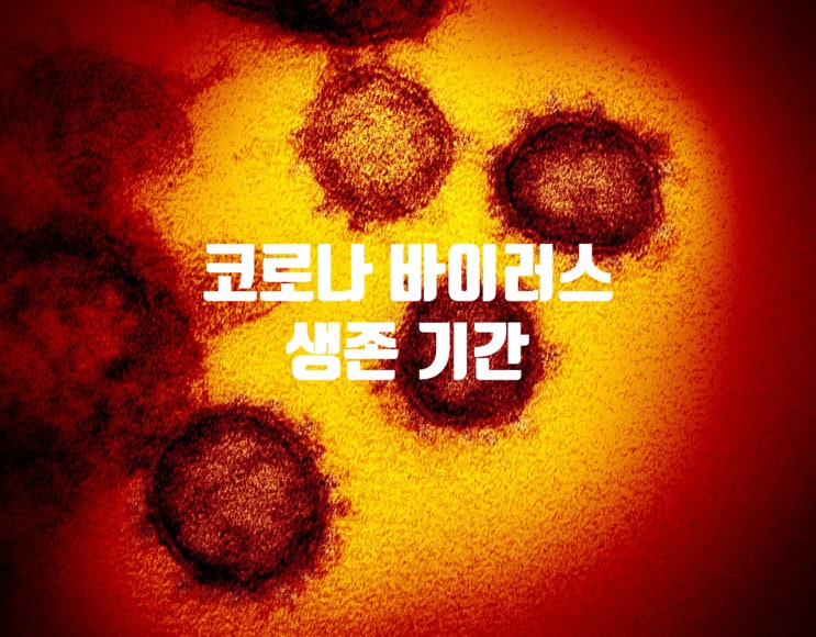 에어로졸 등 코로나 바이러스 생존기간 연구