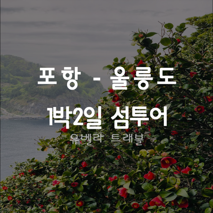  [포항출발] 울릉도 1박2일 섬투어 여행 썬플라워호 경남수송버스