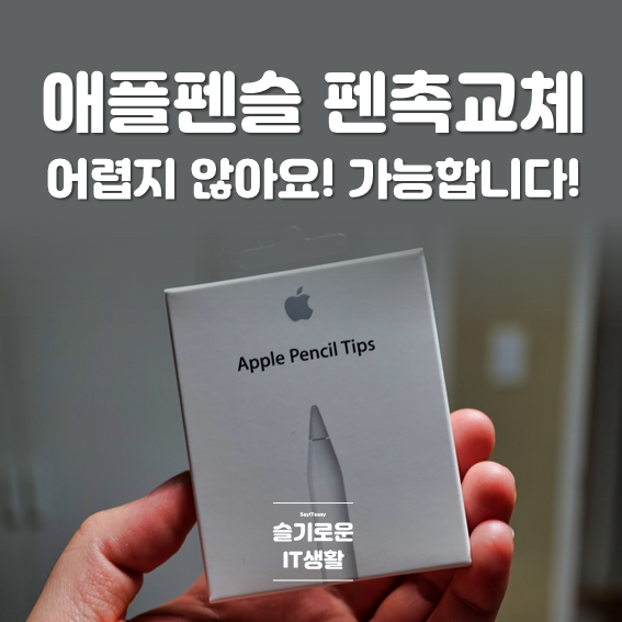 애플펜슬(Apple Pencil) 펜촉이 교체 가능한거 아시나요?