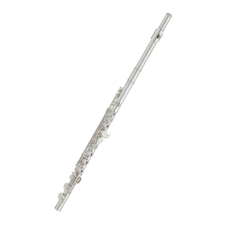  인기상품  야마하 입문용 플루트 YFL-222   452,270원  
