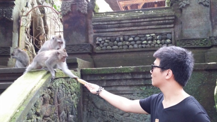 인도네시아 발리 여행 3탄 (원숭이 사원)