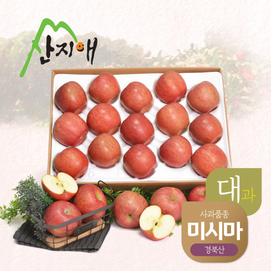   산지애 알뜰 못난이사과 5kg 대과 단품