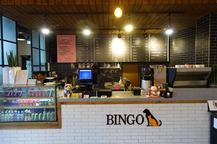  화성 애견카페 빙고 (BINGO) / 마리와 함께~!