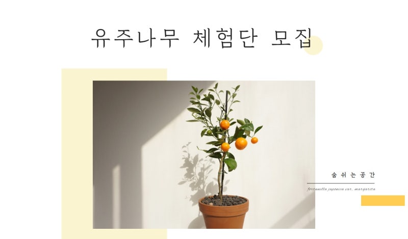 공간과나무 이미지