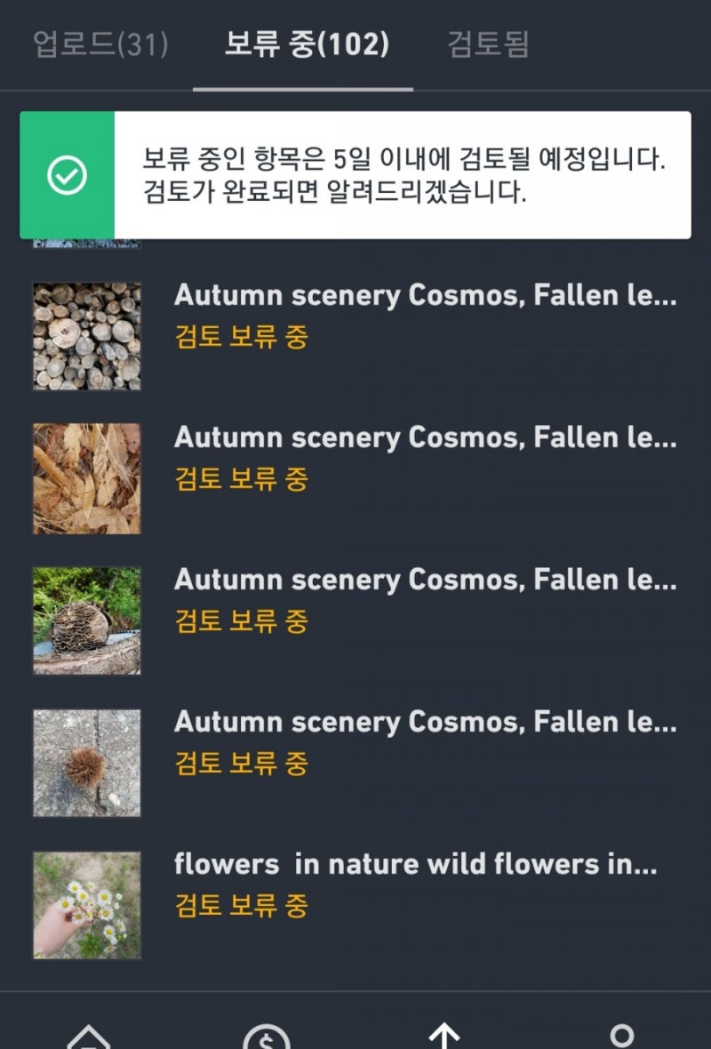 stock] 셔터스톡 입문기 : 시작은 재미로 #사진으로 #부수입도 노린다 : 네이버 블로그