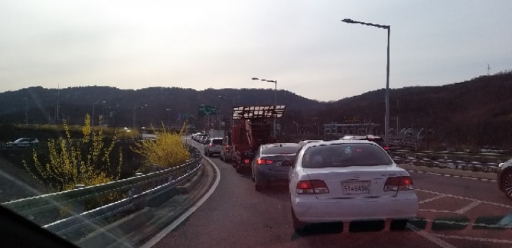  오랜만에 가락시장에 갔다왔는데 오늘따라 차들이 많다..