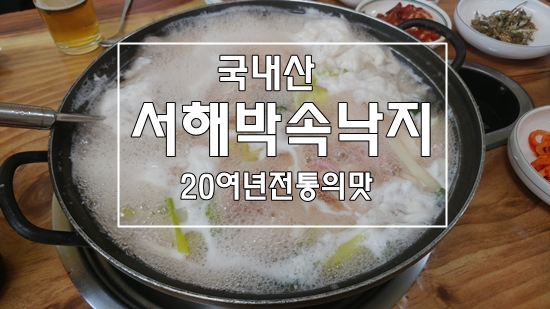  국내산힘쎈서해박속낙지광명동