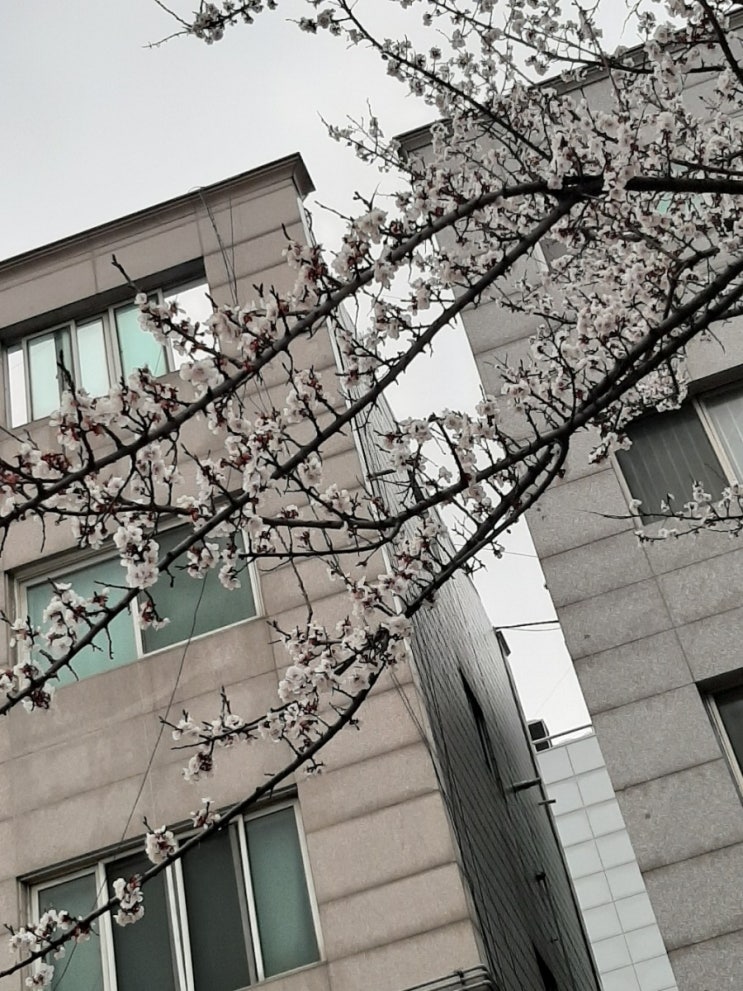  너무 빠른 것도 좋지 않아