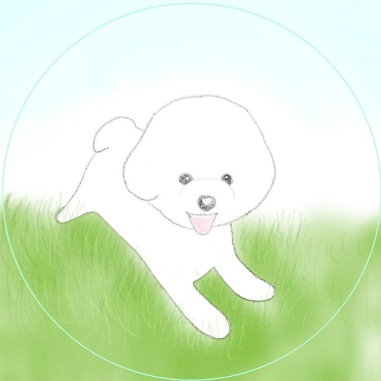  마요는 정말 귀엽구나