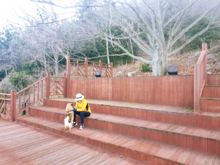  코로나로 인한 답답한 집콕생활 야외산책 했어요.
