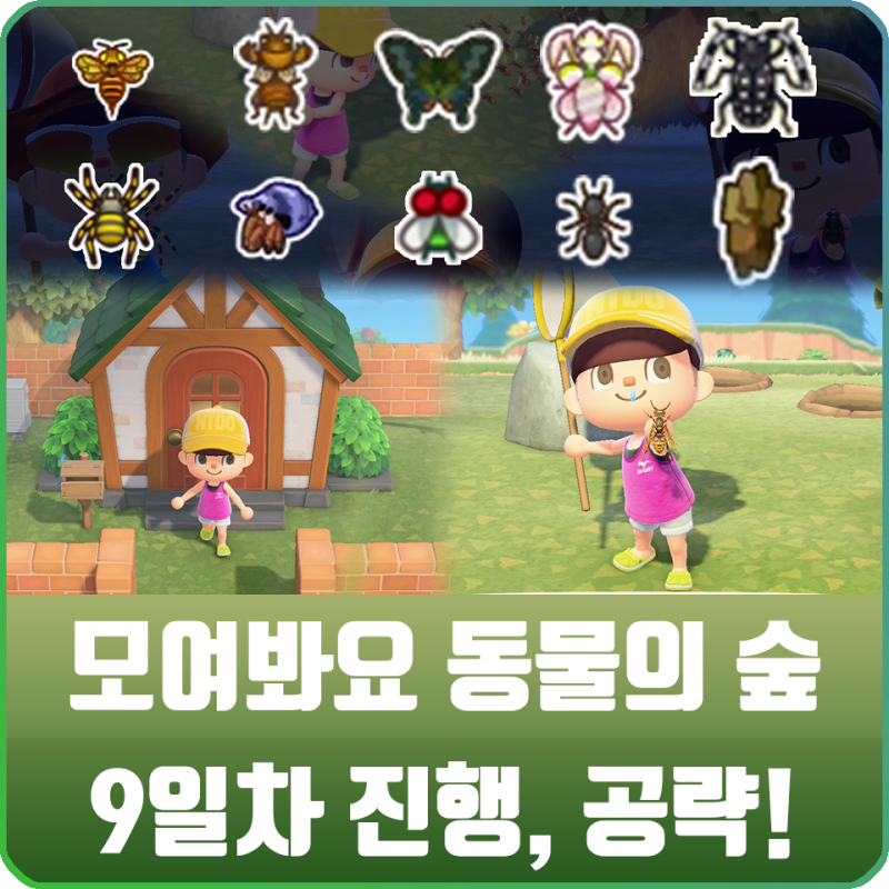 모여봐요 동물의 숲 모동숲 9화 - 집 증축 / 곤충 도감, 가격 / 제비나비, 벌 등 잡는 법 공략 : 네이버 블로그 모여봐요 동물의 숲 모동숲 9화 - 집 증축 / 곤충 도감, 가격 / 제비나비, 벌 등 잡는 법 공략 : 네이버 블로그