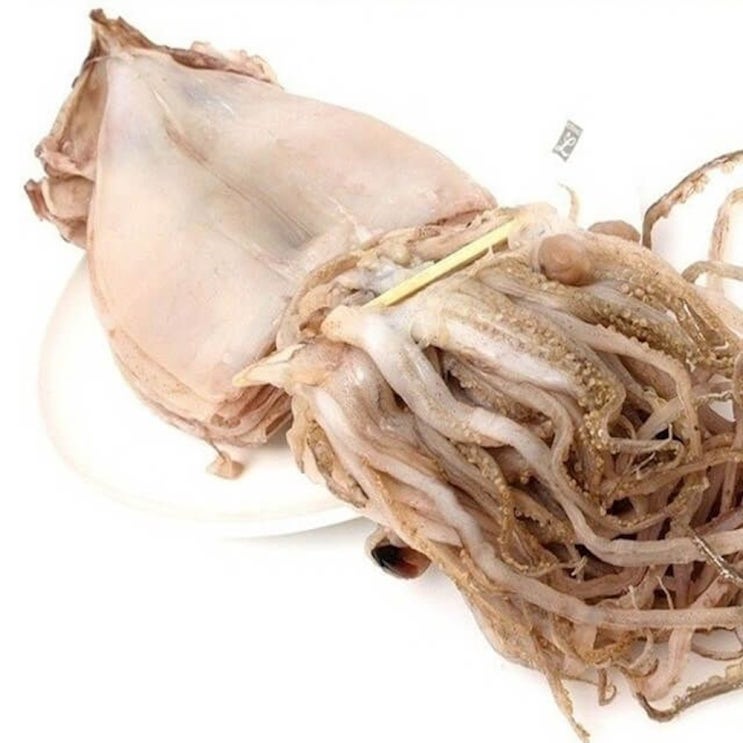  동해 반건오징어 16kg 10마리 수산 건어물 마른 한치 생선 1개