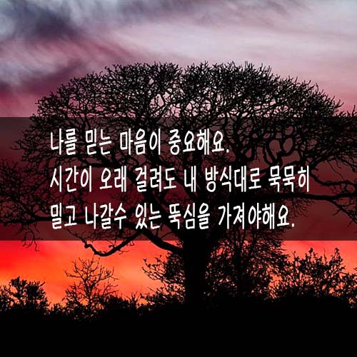  매일필사 하루15분_<옥수수를 관찰하세요> 스스로를 믿으세요