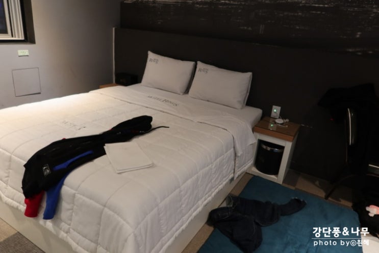  군산 애견동반 숙소 링스 모텔 괜찮았음