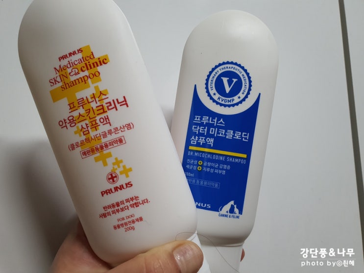  강아지 약용샴푸 프루너스 빨간통 파란통 비교 사용방법