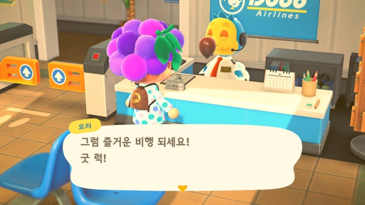  [모동숲 일상/공략] 대나무 숲 상륙! 대나무 공략!