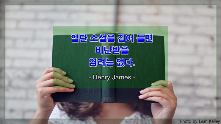 [지식과 생각을 얻는 명언] 소설책을 집어 든 이유