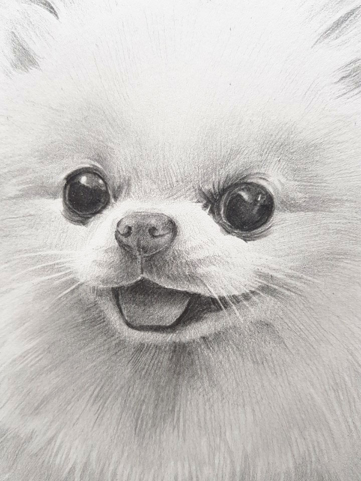  강아지 그리기 외주작업 손그림