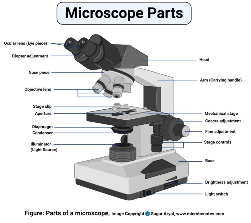 종류 현미경 현미경