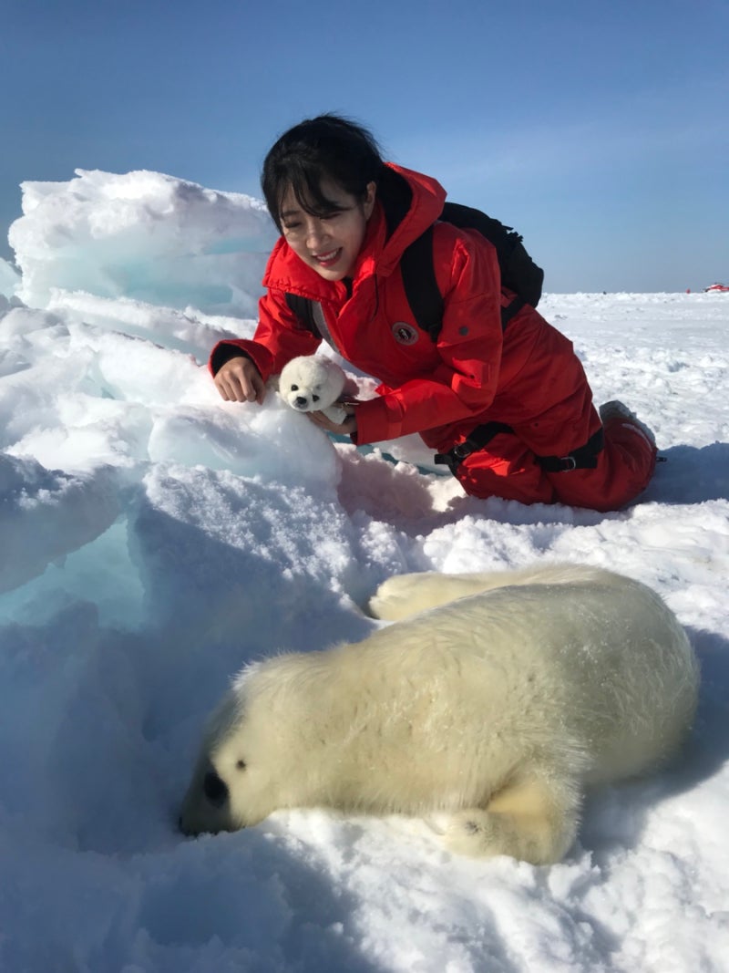 캐나다 동부여행]D+488 행복한 하프 물범(Harp seal)투어♡ : 네이버 블로그, image size:800x1067