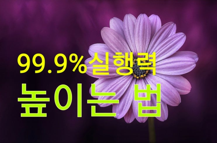  실행력 없는 이유 3가지+ 99.9% 해결 방법 1가지
