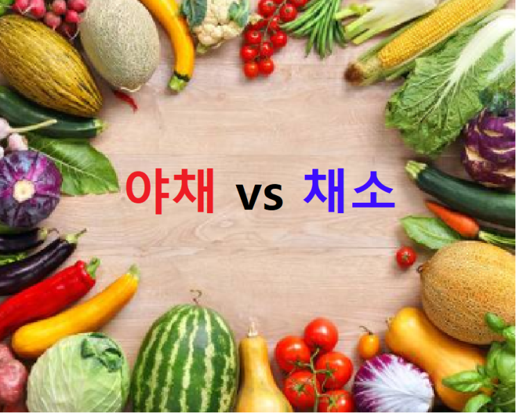  야채 채소 차이점 확실하게 알아봐요