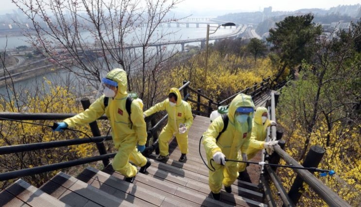 코로나19에 보험가입도 온라인으로…"연 6370원에 유방암 보장" 코로나19에 보험가입도 온라인으로…"연 6370원에 유방암 보장"